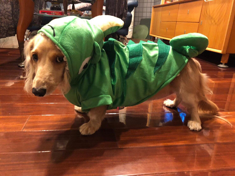 73B7420F82A553D986EEC551FB3123