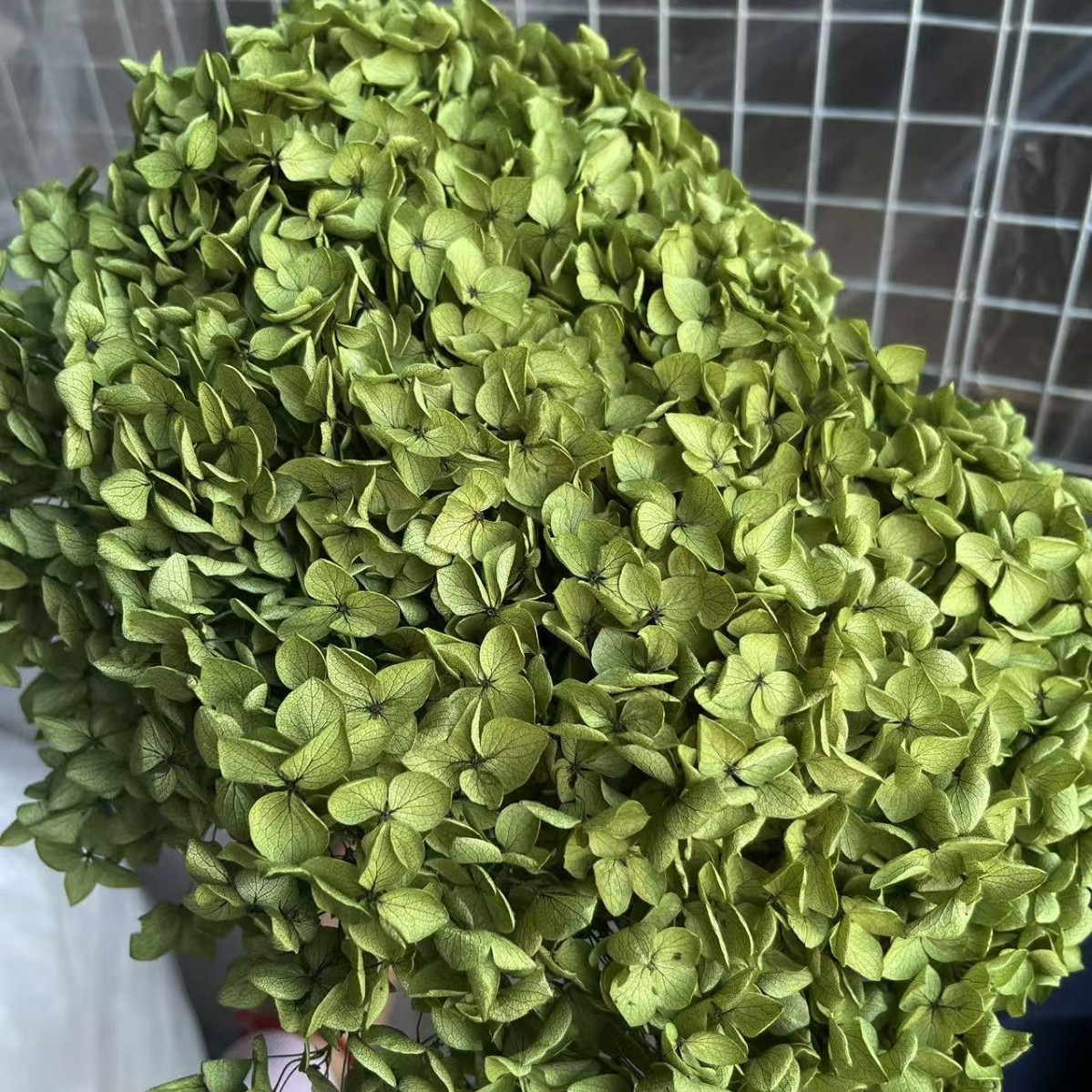 Flores eternas hortenida flores secas Anna hortenida hojas hortenida cabeza de hortenida flores eternas cubierta de vidrio material ramo diy