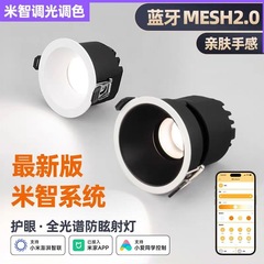 Mijia APPに接続済み、スマートスポットライト調光、ディープカップアンチグレアCOBウォールウォッシャーライト、埋め込み型ホームメインライトなし
