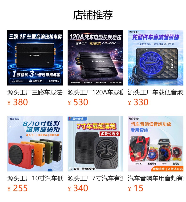 Source Factory 10inch Car Subwoofer 12V Ultra-Thin Active Under-Seat Pure Bass Modification Wholesale in Stock