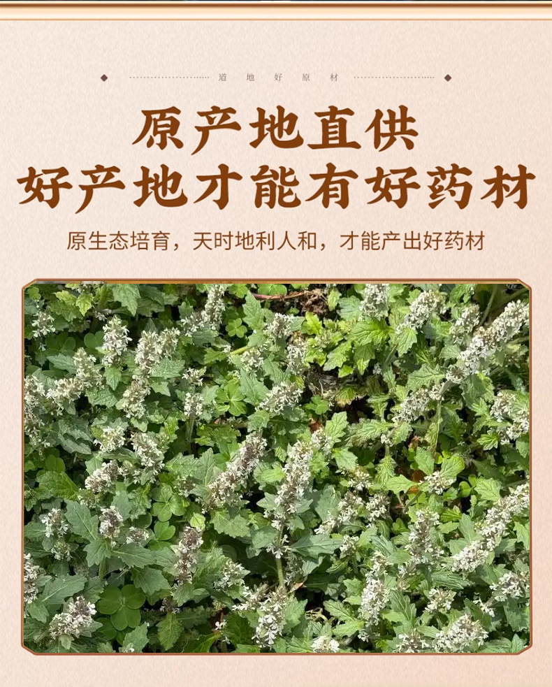 White Hair Prunella Xia Ku Cao Dried Herb 500g Traditional Chinese Herbal Tea Ingredient key features