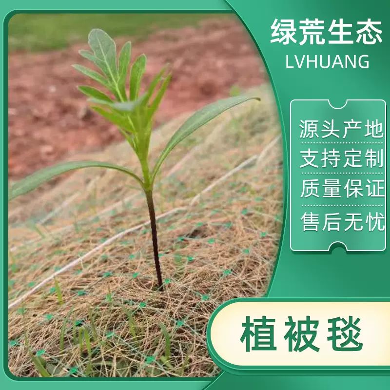 边坡绿化抗冲刷草毯河道加筋抗冲生物毯植被毯种子生态护坡防渗