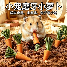 猫猫零食;猫猫玩具;猫猫窝/笼/垫