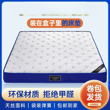 ɾsüӺܛ|޾Ƶ20CMɴ|