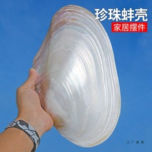 ��Ȼ�������������ؐ���Ĕz���ߺ����~���쾰�b[�����P�ͱP