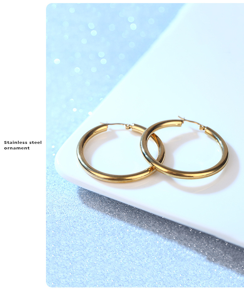 Stainless Steel Material Simple Style Geometric Stainless Steel Plating Earrings 1 Pair
