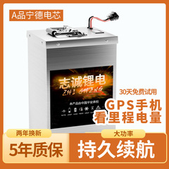 48V60V72V新型電気自動車リチウム電池二輪三輪車宅配便新エネルギー大容量リチウム電気