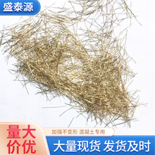 ����������w�S�S�����a��ƺ·������w�S���B�ߏ�����~��w�S