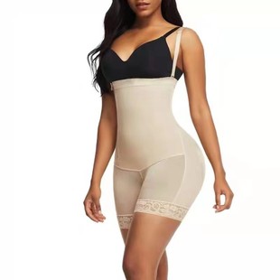 2025�W���B�w���������ſ����w�����C���o���ºϿ�����ѝ���l