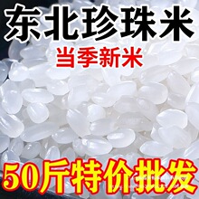 �|������2025������50���bһ�������ױ���20�ﾬ��������qiju�Ї�