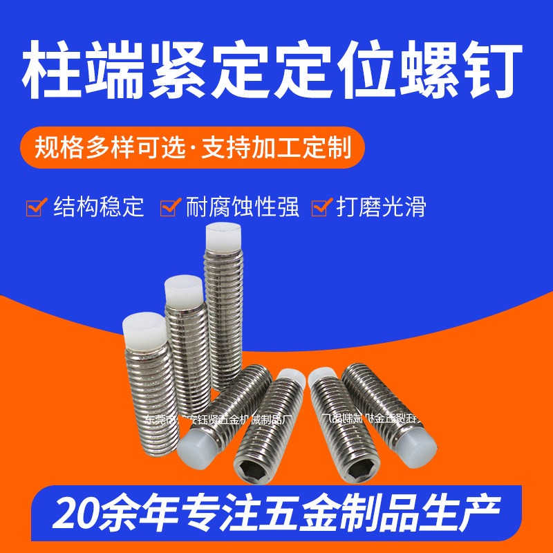 供应批发内六角止付非标螺丝 柱端紧定定位螺钉 圆柱头不锈钢螺丝