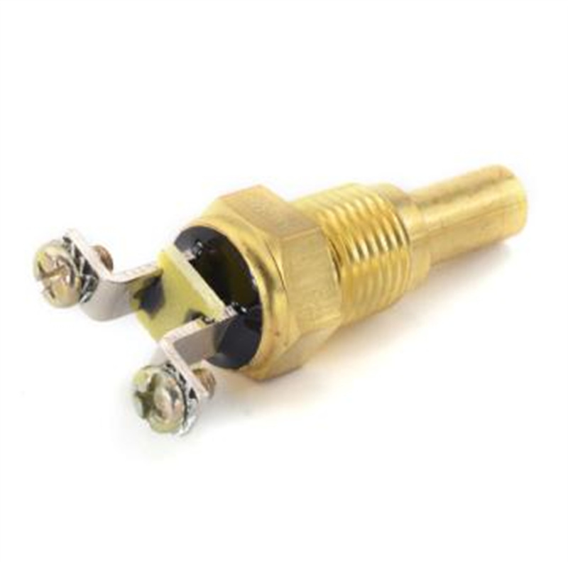 E320 Sensor de temperatura del agua (dos pies)