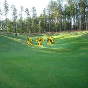 ���òݷN�ӵͰ��Ͳ�ƺ�����`̤��С�^���@ͥԺ�G���˲�ƺ�N��