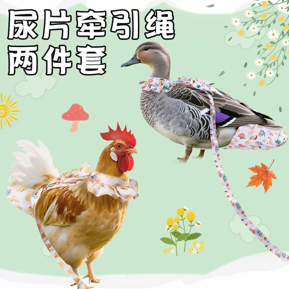 跨境亚马逊宠物用品鸡鹅鸭尿不湿牵引绳套装鸭子衣服柯尔鸭尿不湿