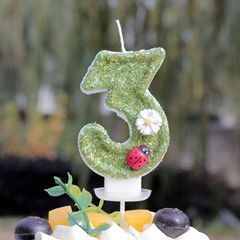 越境ECデジタルキャンドル 誕生日 てんとう虫 花 おすすめ Amazon売れ筋 ケーキデコレーション 卸売 越境専用
