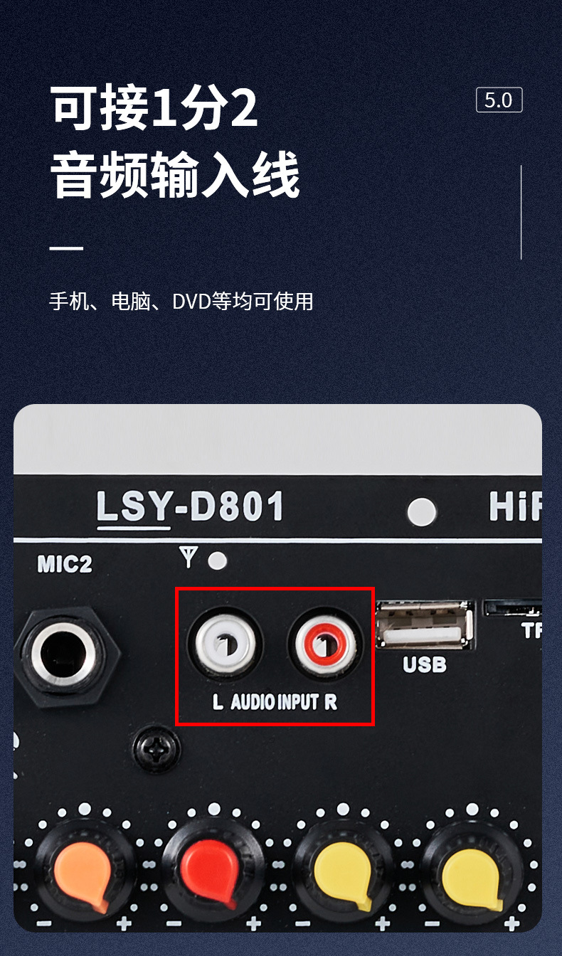 D802 Digital Amplifier Board for Home and Car Subwoofer, Amplifier Board, Amplifier Motherboard, Clear Sound Quality, Audio-Visual Module