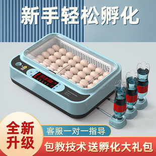 Ll Incubator Small Household Incubator Fully Automatic Intelligent Incubator Chicken Duck Goose Pigeon Parrot Hatching Eggs