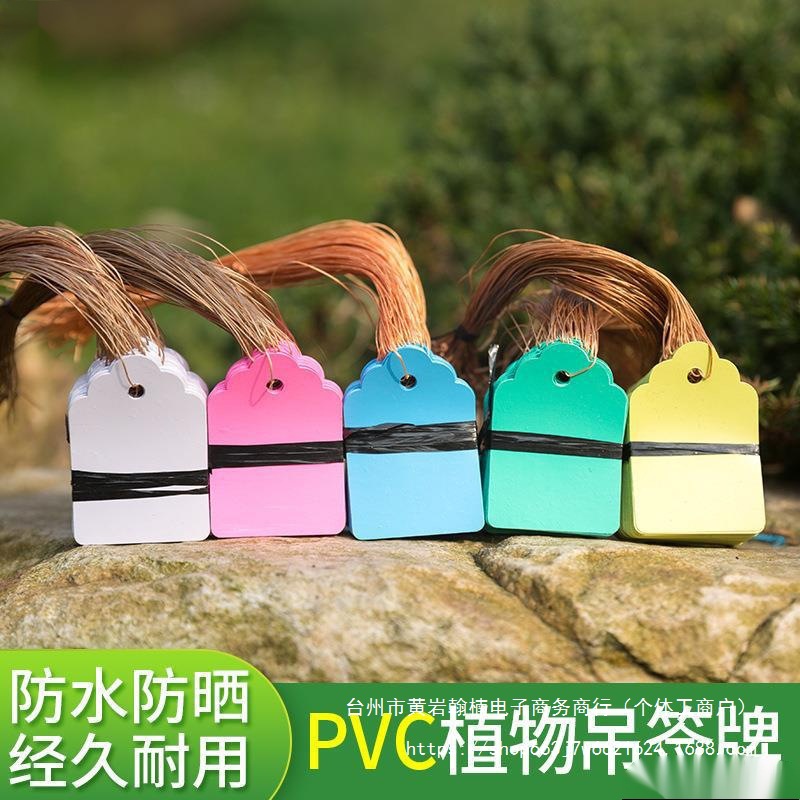 吊签防吊牌绿植标牌防水PVC10园艺花卉兰花小苗木张0挂牌实验