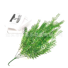 �Ҿ��b�ֲ�����l�ȼ����������Ԉ@�־G�����ϾG�~��ˇ�Gֲ���滨