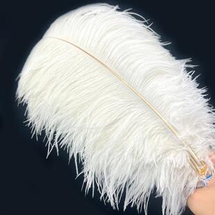 �r�Bë15-60cm���|���U��֧��ë��ˇƷ�o�ϻ�c�b������[�����l