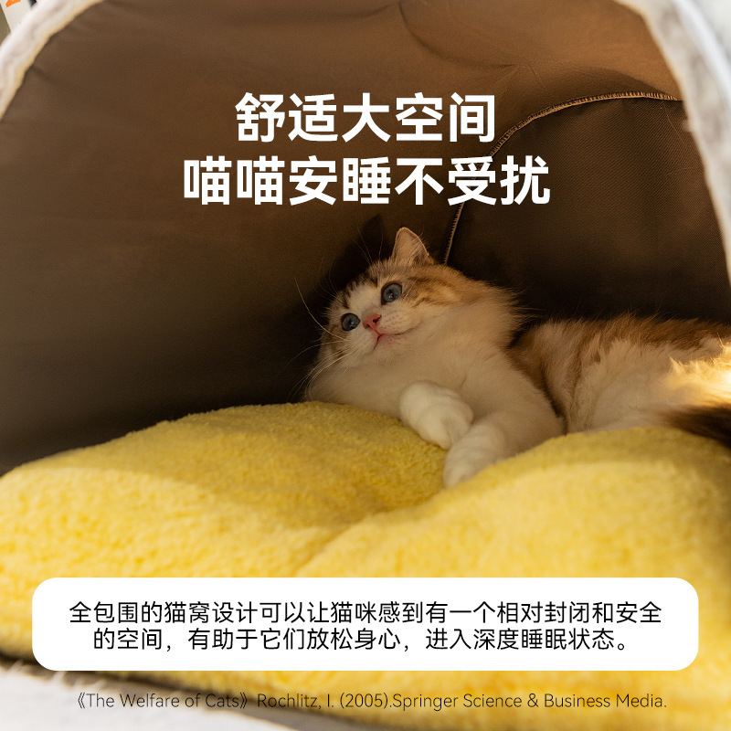 Otoño y invierno, bolsa de arco, ojos grandes, gato lindo, cerrado, cálido, perro, Teddy, perro grande, pelo dorado, mascota