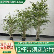 ������ؼ����;Gֲ���Ԕ[��ֲ���b��辰���l���߷���ȷ��滨