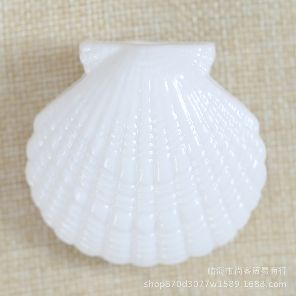 白色贝壳8.jpg