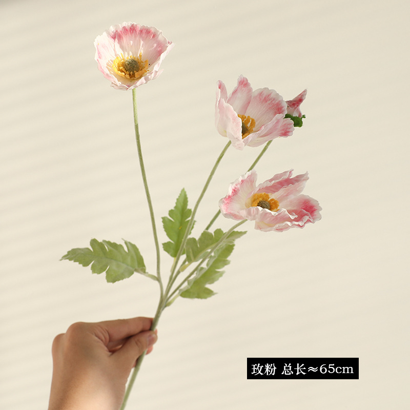 로즈 핑크