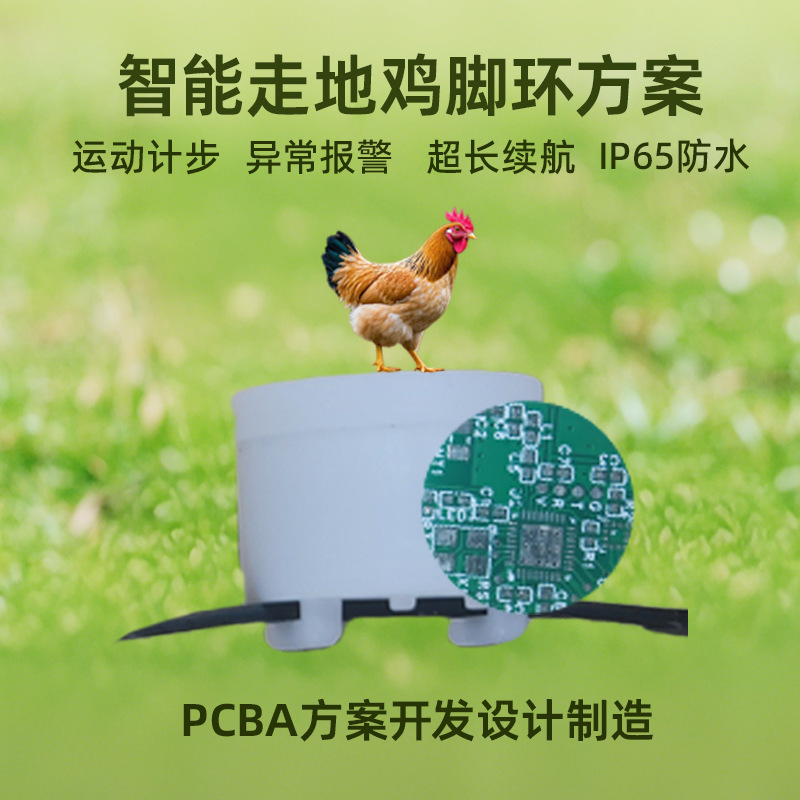 记步鸡用脚环跑步鸡电子脚环走地鸡脚环智能方案PCBA开发设计制造
