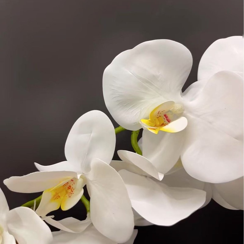 结婚装饰摆件胶片手感3d仿真蝴蝶兰 装饰假花蝴蝶兰仿真花|undefined