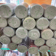 DIY�Ʒ��� �~�� ���龀