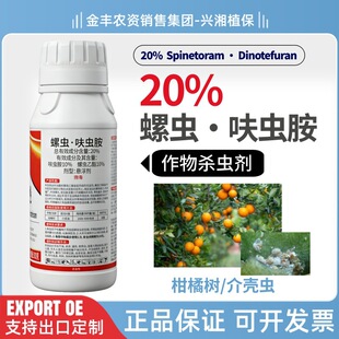 ��ِ���Ž�20%���x߻�x�����٘�隤�x��Ʒ�rș���x�������x��