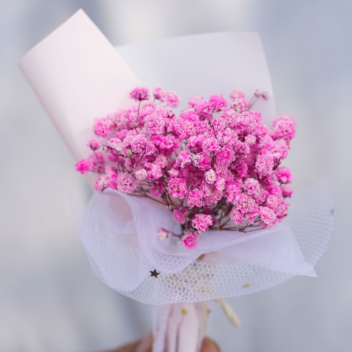 핑크 스타 미니