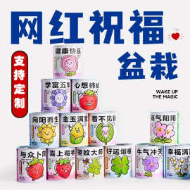 六一小礼物易拉罐迷你小盆栽桌面绿植花卉送礼好养活种子植物批发
