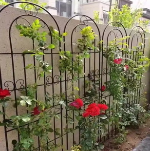 ���@�ř� �Fˇ���ټ� ���⻨��