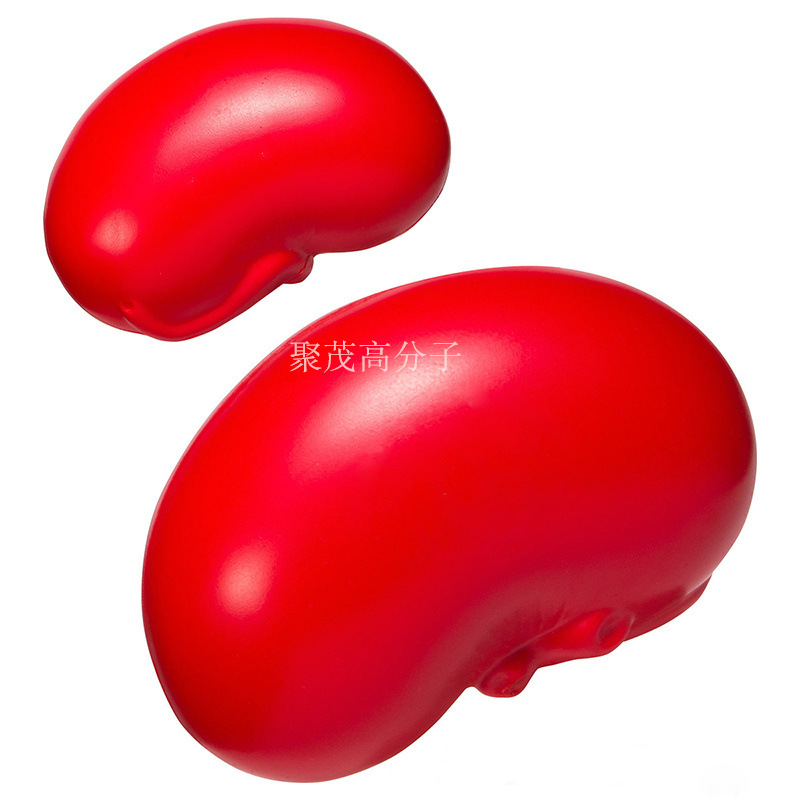 신장의 시뮬레이션 83*57*34mm