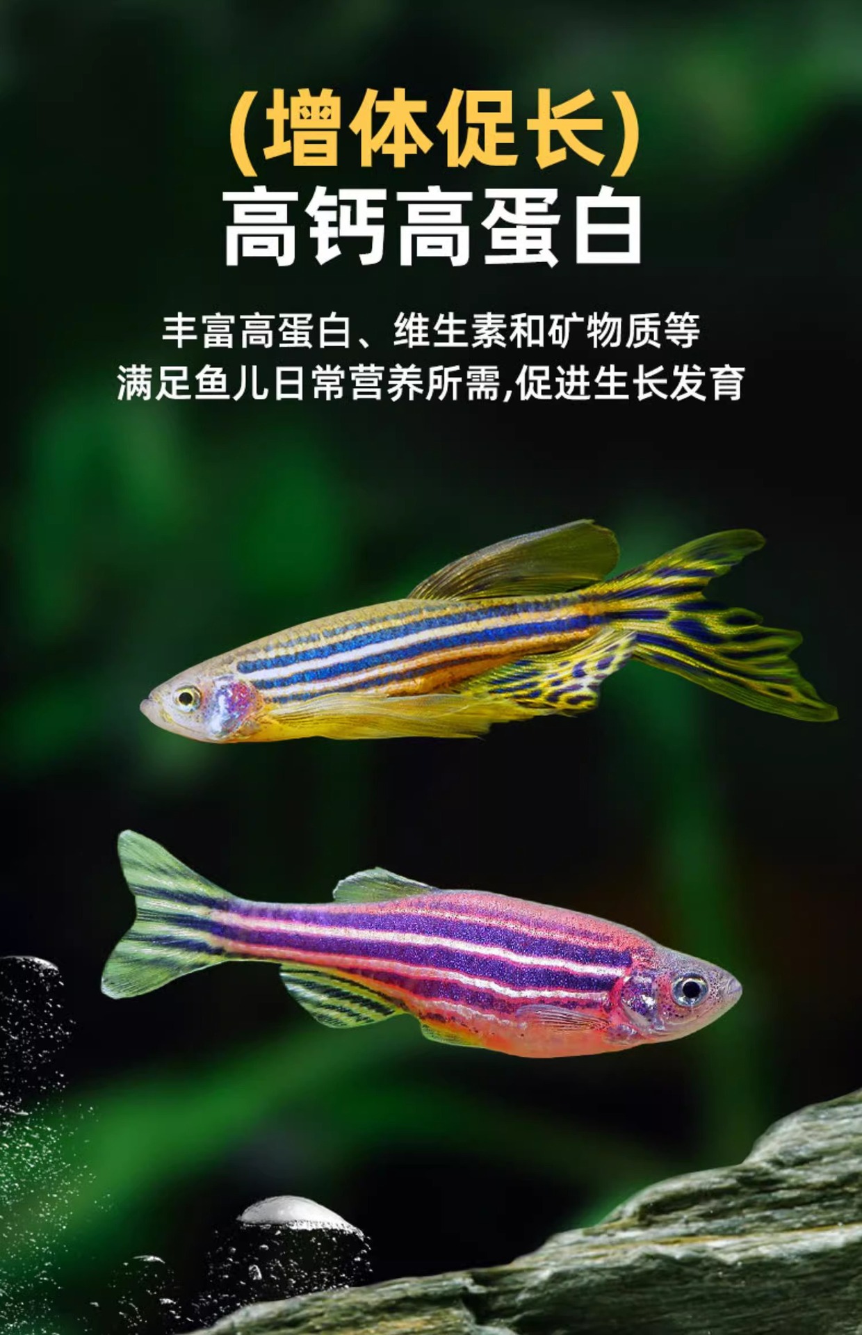 详情图