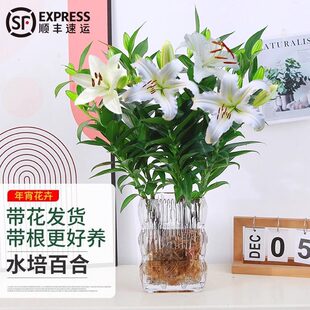 ˮ��ֲ����ˮ�ٺϻ����Ԏ������҃ȿ͏d����ˮ�B�廨����������