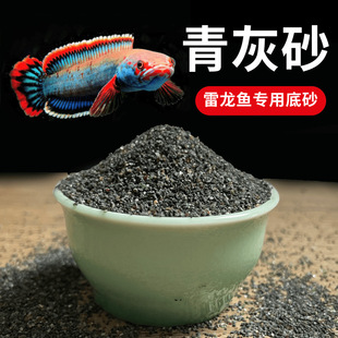 ��ϴ�~�׵�ɳ�Ꭷ����ɳ��ɰ�A����ɳ�����ɳ����ɳ�쾰��ɳ����