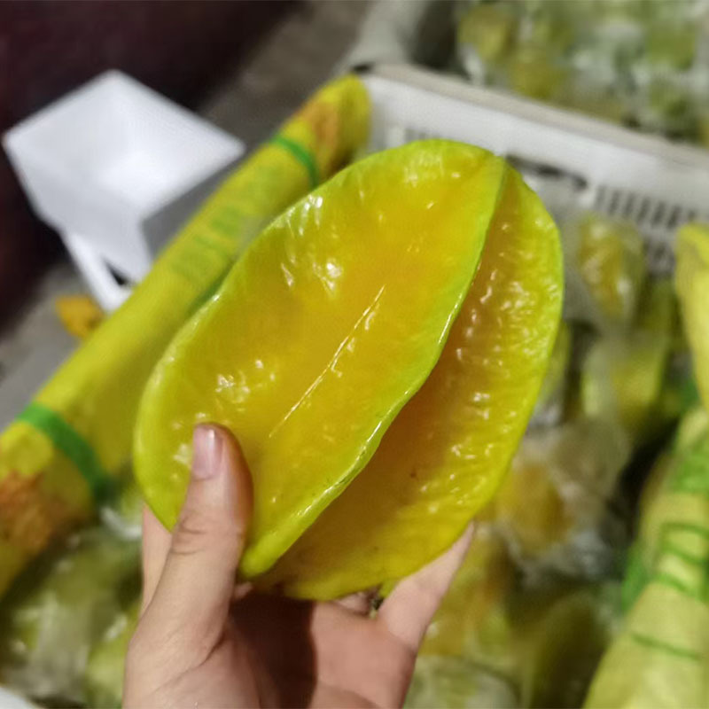 mmexport1712034694149