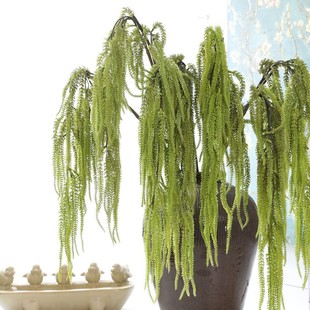 ���������z �ٻ�ֲ���̄ջ�ˇ�OӋ�����´�ܛ�b���g��ꐲ廨