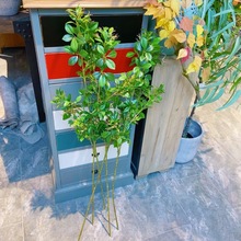 �F؛���l�ޕr�L�U��֦����ֲ���֦�~����Gֲ�Ƶ�͏d�Ҿӻ����b