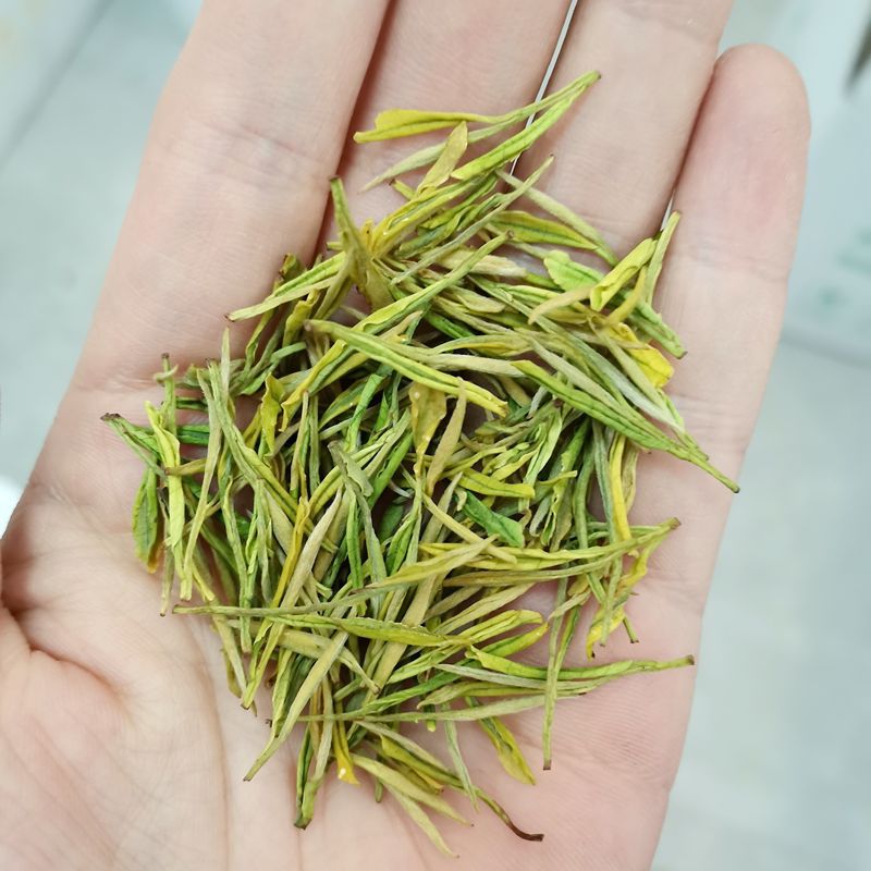 微信图片_20220813162910_副本800