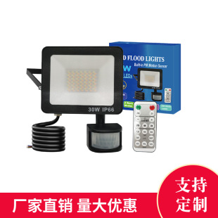 Factory Direct Sales Led Human Body Infrared Sensor Floodlight Dimming and Color Infrared Detector Supports Customized Wholesale