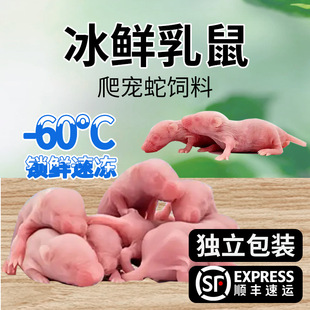 ��������tƤ�������С����ι��������������������ܼZ��˪