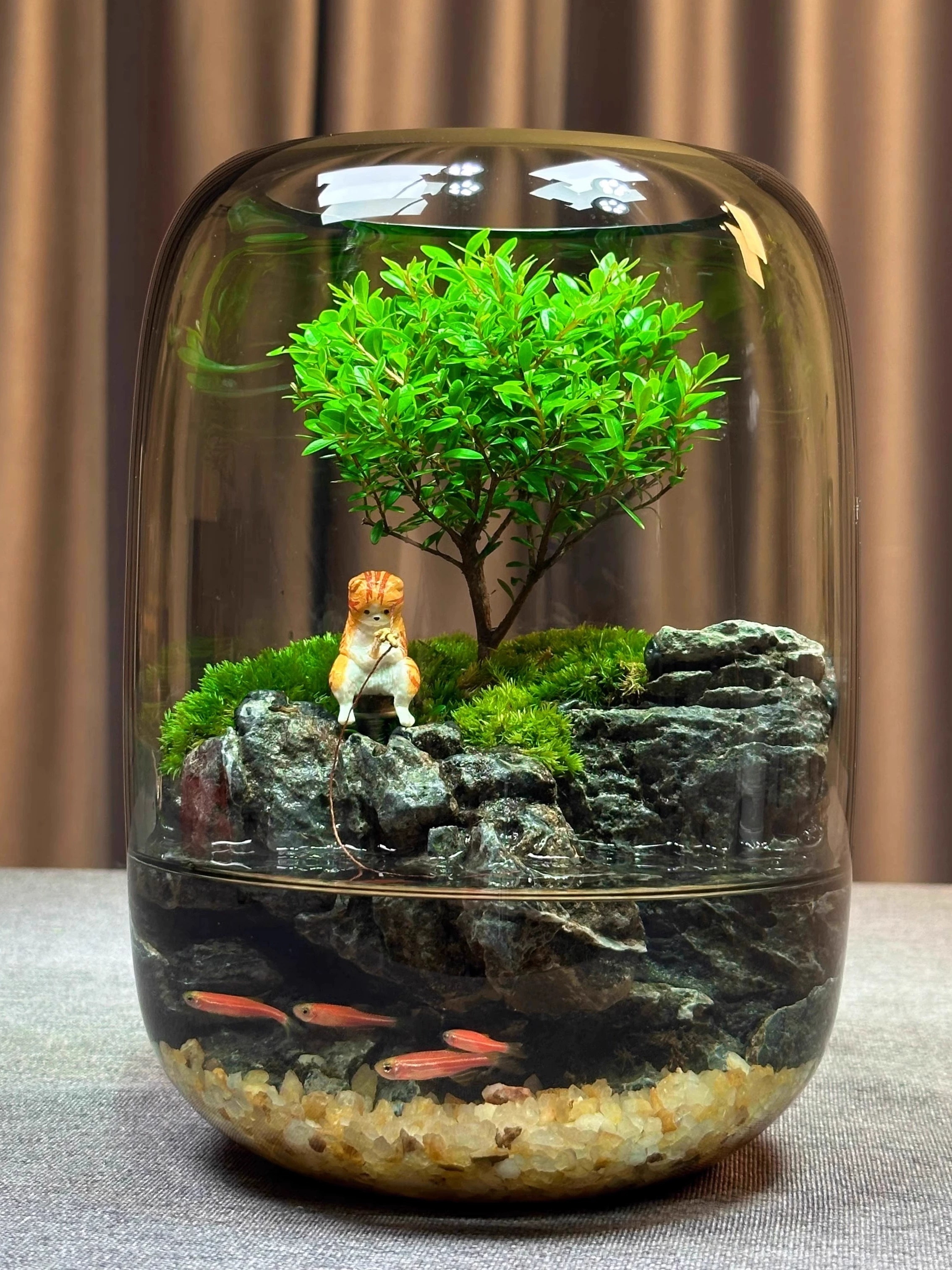 [Есть рыбы каждый год] Креативный моховый микропейзаж, офисный экологический резервуар, аквариум, настольный экологический бутылочный орнамент, готовый продукт