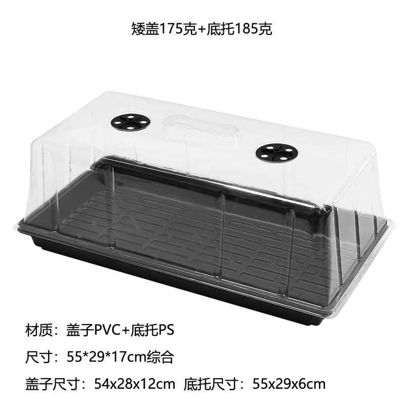 aigai+ps185.jpg
