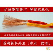 ?������͸������2X64о�p�g��1.5ƽ�����^�������������������