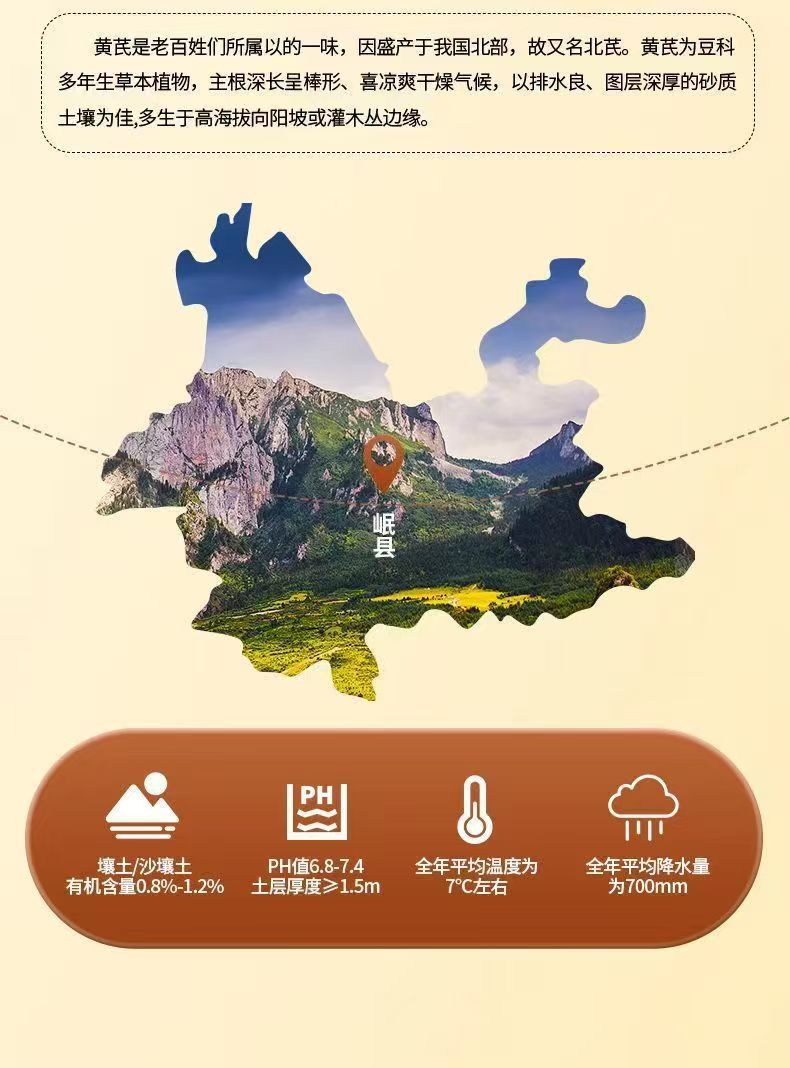 Huang Qi Astragalus Root Slices 500g Dried Gansu Grade One Herbal Tea and Soup Ingredient quality and texture