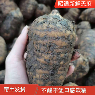 ���������ͨС�݉���������ș�Įa�ذl؛���r����ƽ̨һ�����l